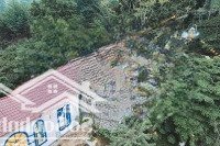 Toạ Lạc Tại Thôn 9 Xã Ba Trại Tổng Diện Tích 2964 M2 300 Tc Đã Đầy Đủ Giấy Tờ Antt Pccc