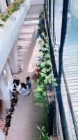 Cho Thuê Biệt Thự Mặt Phố Ngô Thì Nhậm 170M2 X 3 Tầng, Mặt Tiền 7M, Giá 6000$