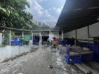 Cho Thuê Kho, Nhà Xưởng 50 Triệu, 800M2 Tại Bùi Văn Ba, Tân Thuận Đông, Q7, Hcm