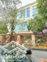 Bán Toà Nhà Văn Phòng Thông Sàn Mặt Phố Trần Vỹ, 9 Tầng 75 Tỷ, 140M2.