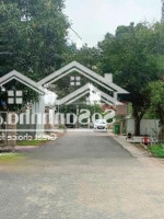 Chính Chủ E Cần Bán Lô Đất Mặt Đường Tổ Dân Phố Hoàng Xá,Thị Trấn An Lão