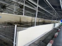 Cho Thuê Xưởng Tại An Lão - Hải Phòng