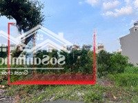 Bán Đất Sổ Đỏ Cát Lái,Diện Tích5X20M, Đường 12 Mét, Giá Bán 61 Triệu/M2