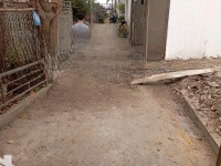 Chính Chủ Gửi Bán Mảnh Đất Đẹp Xóm Vang. Cổ Loa.đông Anh