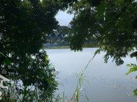 Bán Đất 2 Mặt Tiền Đường 1 Mặt Tiền View Hồ Đội 43, Diện Tích 1695M2 Giá Đầu Tư Rẻ Nhất Thị Trường