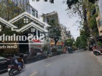 Bán Nhà Văn Phòng Mặt Tiền Ký Con, 73 Tỷ, 106M2, View Đẹp Tại Nguyễn Thái Bình, Gần Chợ Bến Thành