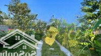 2,6 Tỷ Sẵn Khuôn Viên 290 M2 Ngay Nút Hoa Thị Hoà Lạc Sẵn Sổ Cc Trong Ngày Thuộc Hoà Thạch Quốc Oai