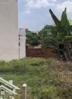 Chỉ Còn 1 Lô - 100M 2Ty4 Còn Bớt - Gần Đồng Diều Hóc Môn
