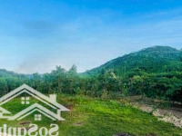 Đất Xây Nhà Vườn View Thoáng Tại Hòa Ninh, 1000M2 Có 300M2 Đất Ở