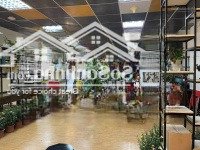 Cho Thuê Văn Phòng, Dạy Học, Spa: 40M 7 Triệu; 60M 12 Triệu; 80M 15 Triệu; 110M 18 Triệu; 200M 45 Triệu. Phố Lạc Trung