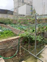 Bán Đất Quan Âm Bắc Hồng (Hàng Hiếm) Vị Trí Đẹp Ô Tô Đỗ Cửa 50M Giá Bán 3 Tỷ