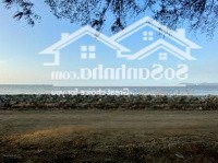 Cơ Hội Vàng Sở Hữu Bất Động Sản Mặt Tiền Biển Cần Giờ, Thị Trấn Cần Thạnh