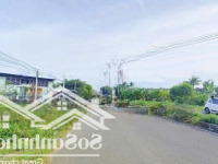 Bán Đất Tại Đ.huỳnh Thúc Kháng, Phường 7, Cà Mau, 520 Triệu, 120M2, Gần Chợ Nổi Cà Mau