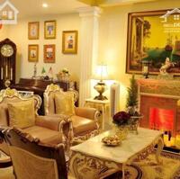 Bán nhà biệt thự mini mới xây hiện đại full nội thất ngang 7,5x12m trong trung tâm quận 10