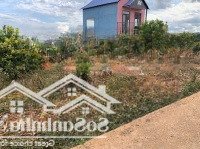 Bán Lô Đất Nền Tân Lâm, Di Linh Diện Tích 251M, 75M Thổ Cư, Giá 530 Triệu