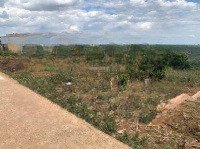 Bán Lô Đất Nền Tân Lâm, Di Linh Diện Tích 251M, 75M Thổ Cư, Giá 530 Triệu