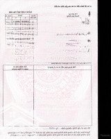 Hàng Hiếm Tại Đường 101 Nam Lộ, 499 Triệudiện Tích1005 M2 Sổ Riêng, Đường Hiển Thị Trên Sổ, Ô Tô Tận Nơi