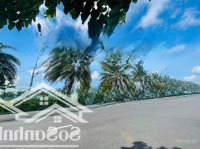 Bán Đất 100M2 Tại Nguyễn Hữu Trí, Xã Thanh Phú Đối Diện Eco Retreat Long An, Giá Cực Chất 1,95 Tỷ