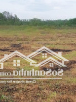Nhanh Tay Chốt Lẹ Trước Khi Nhơn Trạch Nhập Về Tp.hcm