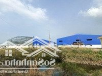 Cho Thuê Xưởng Mới Xây 18700M2. Giấy Phép Hoàn Công. Sản Xuất Đa Ngành Nghề. Bàu Bàng, Bình Dương
