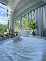 Homestay View Thung Lũng Rừng Thông Hoàng Hoa Thám 250M2 Ngang 12,7M 11 Phòng Có Nguồn Thu Cao