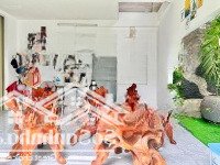 Bán Biệt Thự Ngang 10M, 251M2, Góc 2 Mặt Tiền Phường Tân Hiệp Giá Bán 8,8 Tỷ