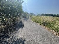 2,4 Ha Đất Phường Chánh Phú Hoà Tp Bến Cát, Đường Nhựa 5M Tới Đất Cách Đt 741 Chỉ 500M