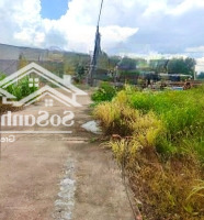 Đất Nền 250M2 Tại Tây Hòa, Trảng Bom, Đồng Nai, Giá Tốt Bán Nhanh