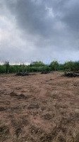 Chủ Đi Xuất Ngoại Cần Ra Nhanh Lô Đất Hơn 1Hecta Giá Ck Sâu