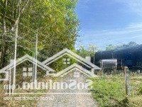 Chỉ 820 Triệu Sở Hữu Ngay Lô Đất Phú An Bến Cát Bình Dương 126M2 70M2 Thổ Cư Đường Xe Bán Tải