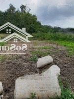 Đất Đức Hoà Hạ, Long An: 307M2 Thổ Cư Hết Đất