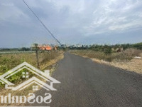 Cần Bán 9000M2 Full Hồng Xã Xuyên Mộc Đường Đẹp Gần Nhà Vườn Nghỉ Dưỡng Giá Chỉ 700 Triệu/Sào