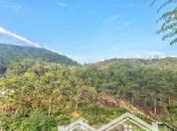 Đất View Thung Lũng Rừng Thông Hoàng Hoa Thám 252M2 Ngang 12M Có Gpxd 7 Tầng 24 Phòng Khách Sạn