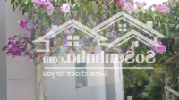 Cho Thuê Căn Hộ Mini Trung Tâm Sg, Khu An Ninh, Có Sân Vườn Thoáng Mát, Giá Chỉ 2 Triệu/Tháng