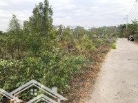 Bán Lô Đất 5517 Mét Chính Chủ Tại Phước Thạnh, Củ Chi