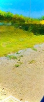 Lô Đất Đẹp Tại Bến Cát 389M2, Gần Kcn Mỹ Phước 3 Ngang 5M Đầu Tư Tiềm Năng