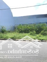 Bán Đất Tại Trần Phú, 1,745 Tỷ, 255M2, Pháp Lý Đầy Đủ, Chính Chủ Uy Tín