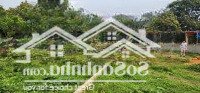 Đất Nghỉ Dưỡng Cư Yên - Lương Sơn | Giá Chỉ Hơn 1 Tỷ/Lô, Sổ Sẵn, Ô Tô Tránh Vào Tận Nơi!