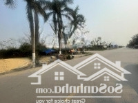 Cơ Hội Sở Hữu Đất Thương Mại Dịch Vụ 50 Năm Với Giá Bán 30 Triệu/M2 Tại Kim Sơn, Đông Triều, Quảng Ninh