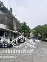 Bán Nhà Biệt Thự, Khu Hdi Mạc Thái Tông, View Vườn Hoa, Vỉa Hè Rộng