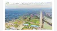 Bán Nhanh Lô Đất Đường Đôi Dự Án Kalong Riverside. Quy Hoạch Bài Bản, Gần Cửa Khẩu, Cảng Cạn