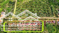 Ea Sin-Krong Búk Mặt Tiền Nhựa Ft 260M2 Sẵn 100M2 Thổ Cư Kdc Giá Chỉ 149 Triệu
