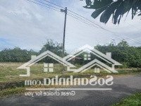 Bán Đất Đường Nhựa Qh 17M, Gần Tt Y Tế, Chợ, Tthc Mới Xã Phước Bình, S: 347M2 (80M2 Thổ), Nở Hậu 8M