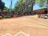 Chủ Cần Tiền Bán Gấp 450M Đất Có Thổ Cư Tại Thạch Màng - Tân Lợi. Sổ Hồng Riêng