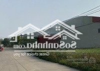 Bán Đất Đấu Giá An Khải - Bắc Sơn - Ân Thi. Đường Trục Chính Qh 24M