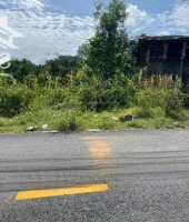 Chị Chủ Gửi Lô Tân Ninh Châu Pha