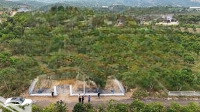 Đất Vườn Bơ Lộc Đức Giá Rẻ Chưa Tùng Có