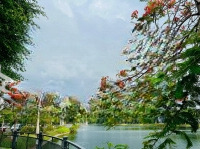 Nhà Phố View Hồ Lakeview City Cần Cho Thuê, Nhà Hoàn Thiện Full Nội Thất Giá 35 Triệu/Th. Liên Hệ: 0917330220