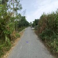 Bán nền:  10m x 30m, thổ 100% Đường nhựa 3.5m, xã Bình Hàng Tây, H Cao Lãnh, Đồng Tháp