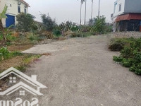 Giá Rẻ Bất Ngờ Lô Đất Phường Hoàng Lâm- Thủy Nguyên Ngõ Ôtô 7 Chỗ